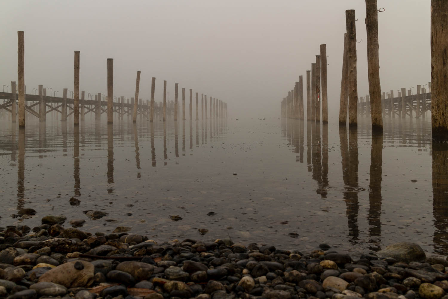Reichenau Yachthafen Nebel