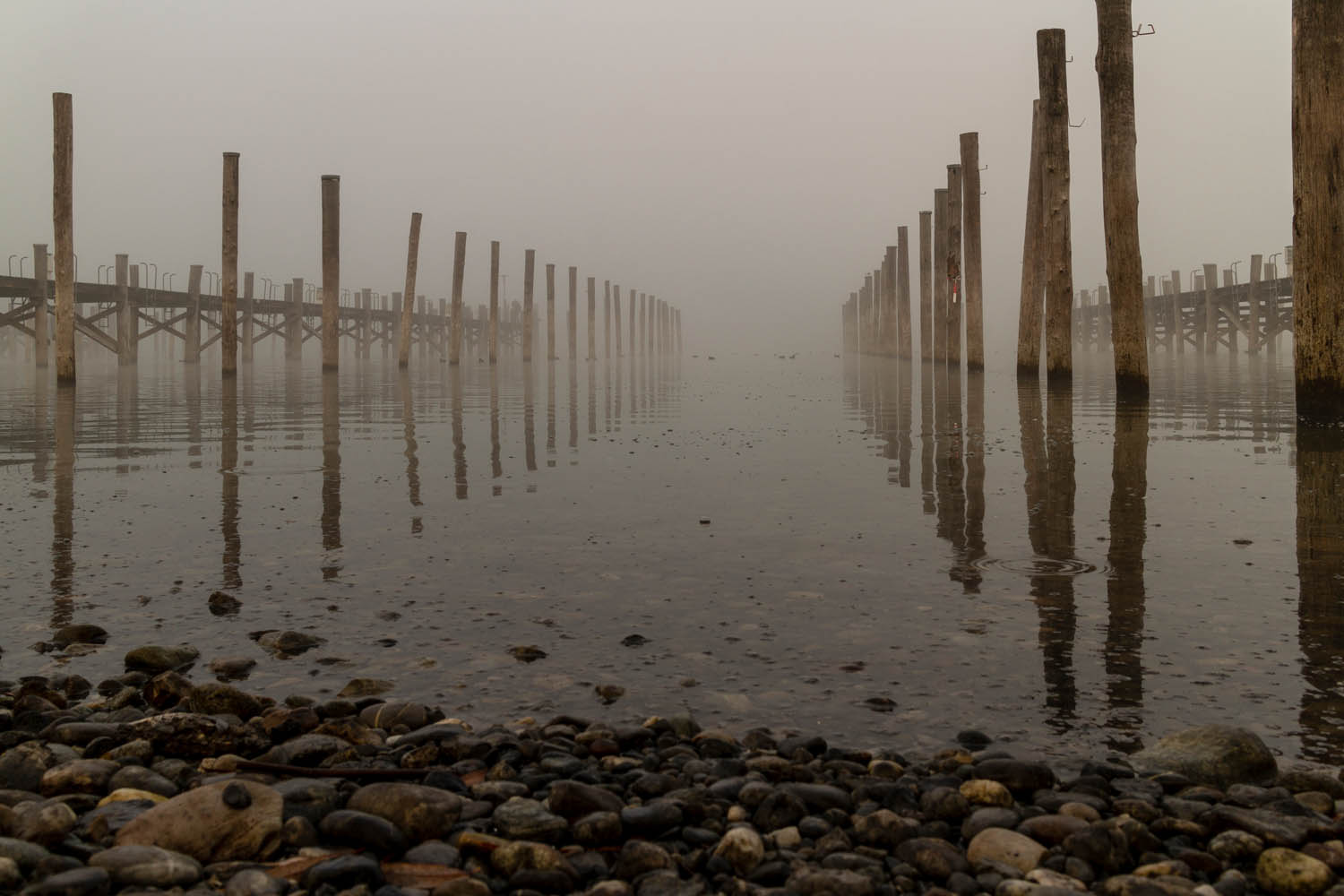 Impressionen Insel Reichenau Yachthafen Herrenbruck bei Nebel